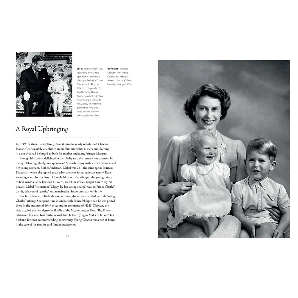 King Charles III - Image 3